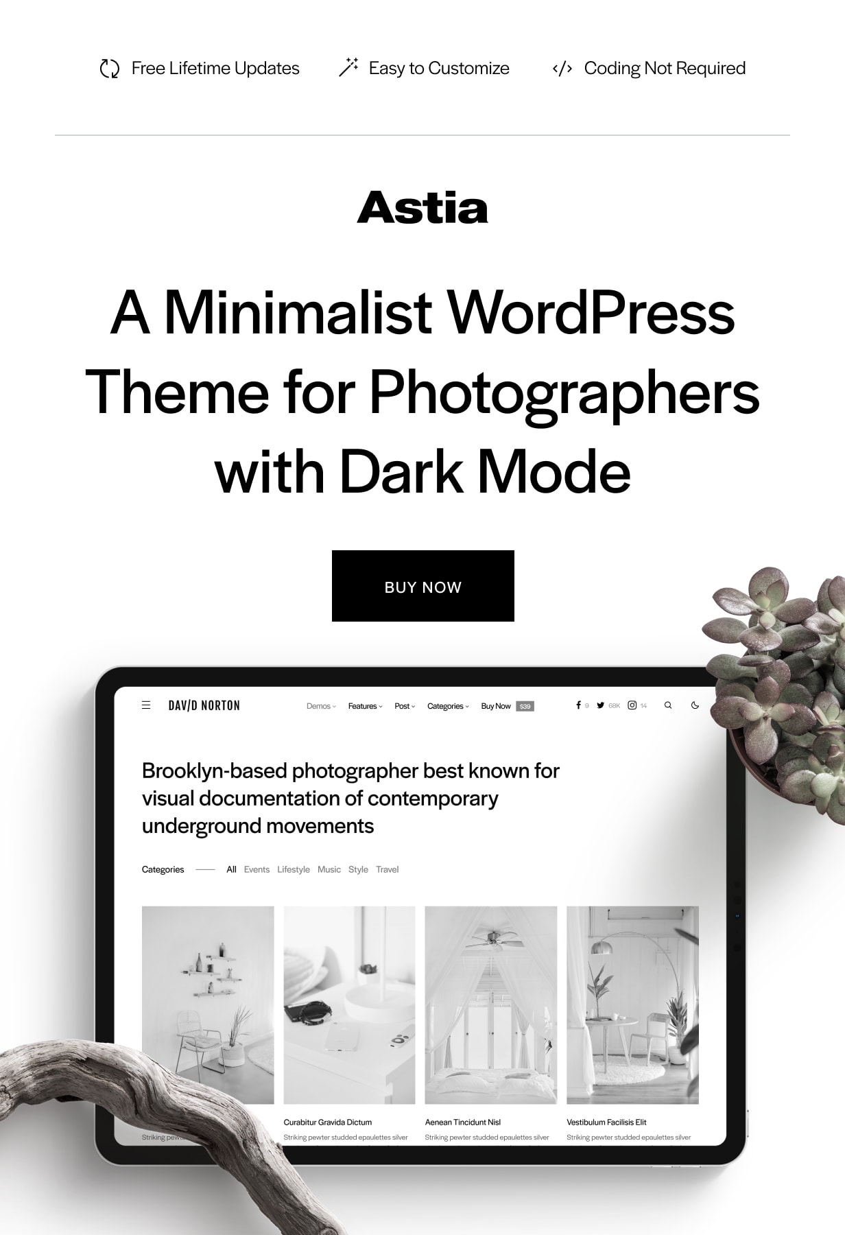 Astia - Minimal Portfolio WordPress Theme for Photographers - 26