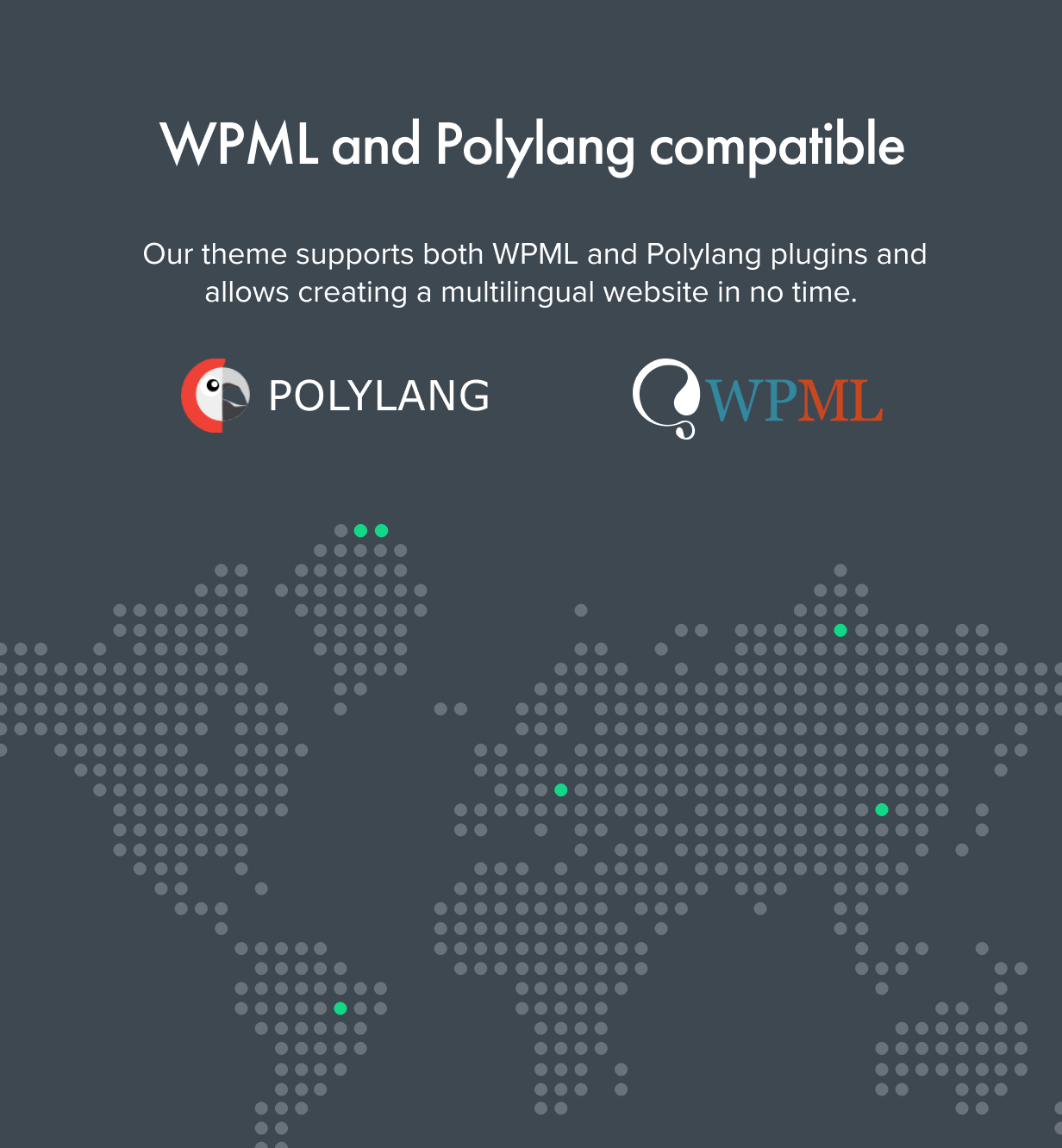 Polylang Compatible