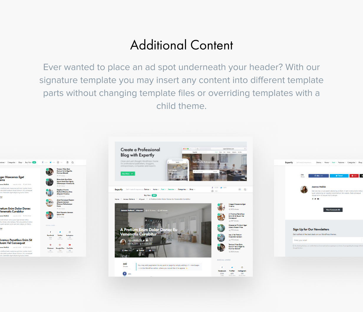 Expertly - WordPress Blog & Magazine Theme for Professionals - 33