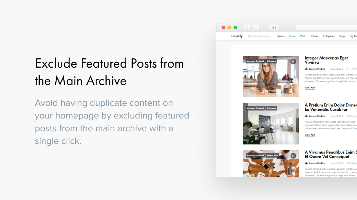 Expertly - WordPress Blog & Magazine Theme for Professionals - 35