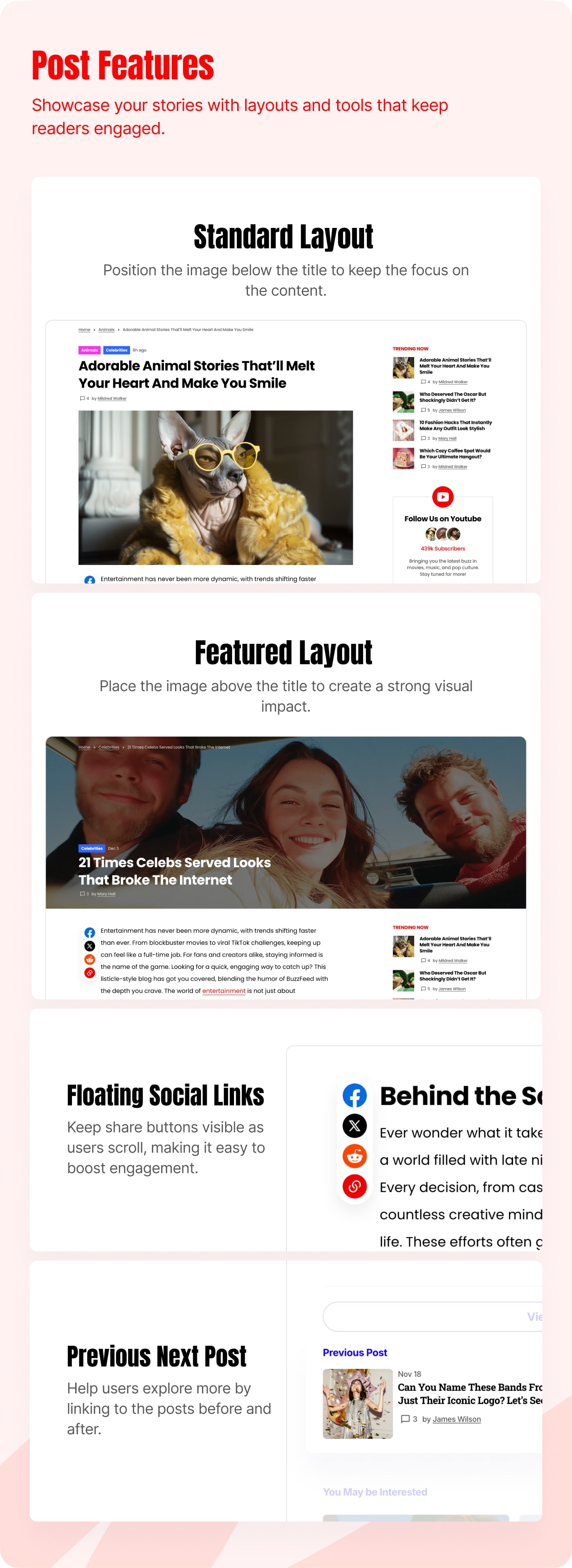 Vyral - WordPress Viral Theme for Blog and Magazines - 10